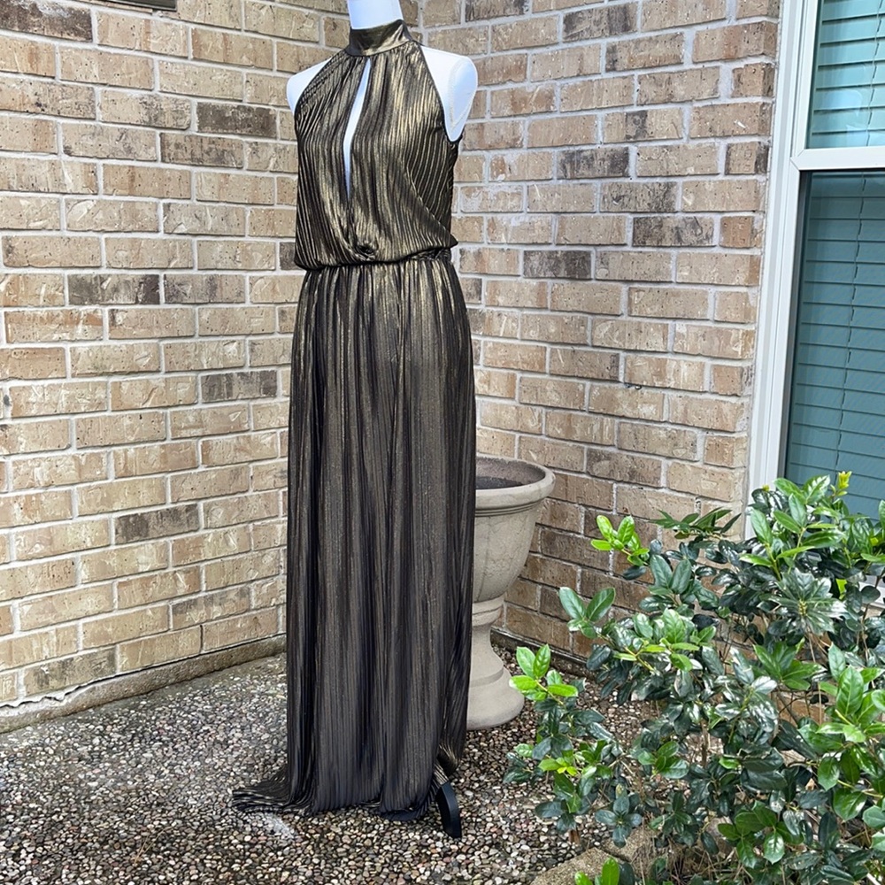 Sexy metallic ronny kobo gown